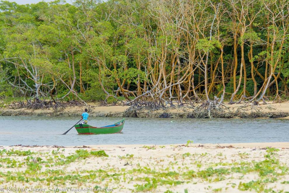 Imagem das raízes das árvores e pescador remando em seu barco na Praia Corumbau.